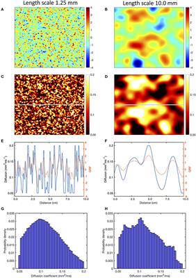 Dispersion of Recovery and Vulnerability to Re-entry in a Model of Human Atrial Tissue With Simulated Diffuse and Focal Patterns of Fibrosis